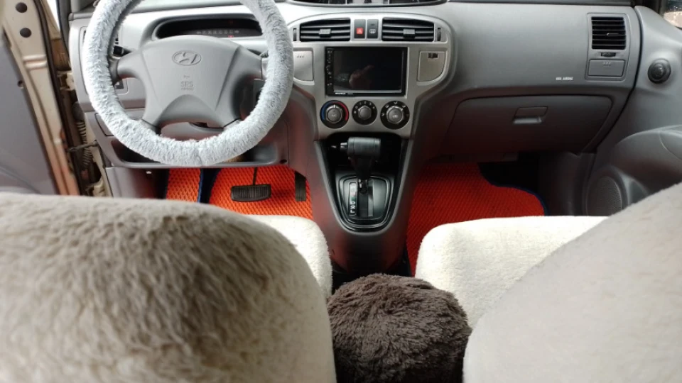 Hyundai Matrix Матреха 3