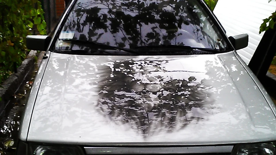 Hyundai Pony 5