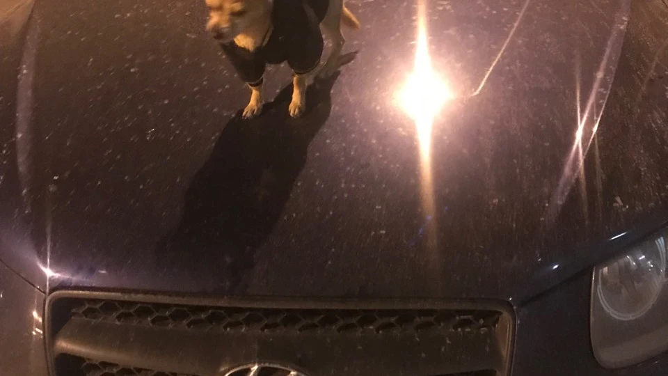 Hyundai Santa Fe 2