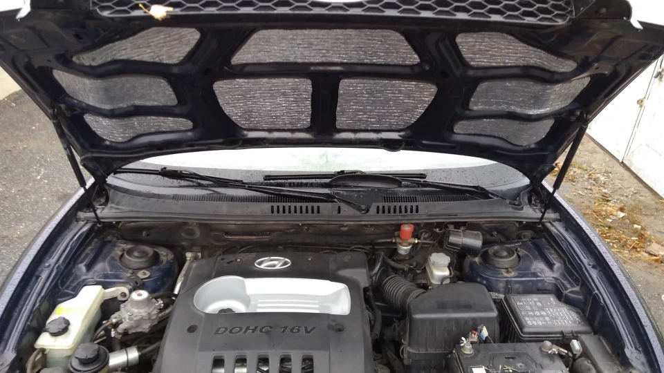 Hyundai Santa Fe 2.0 MT BRC, HIPPOPOTAMUS 3