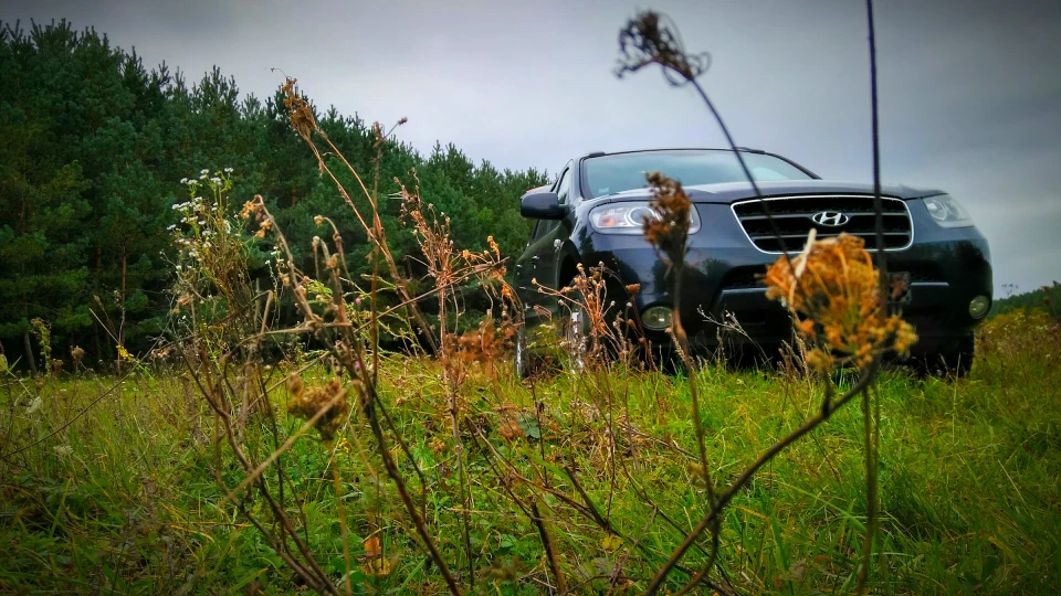 Hyundai Santa Fe Нахабний трудяга 3