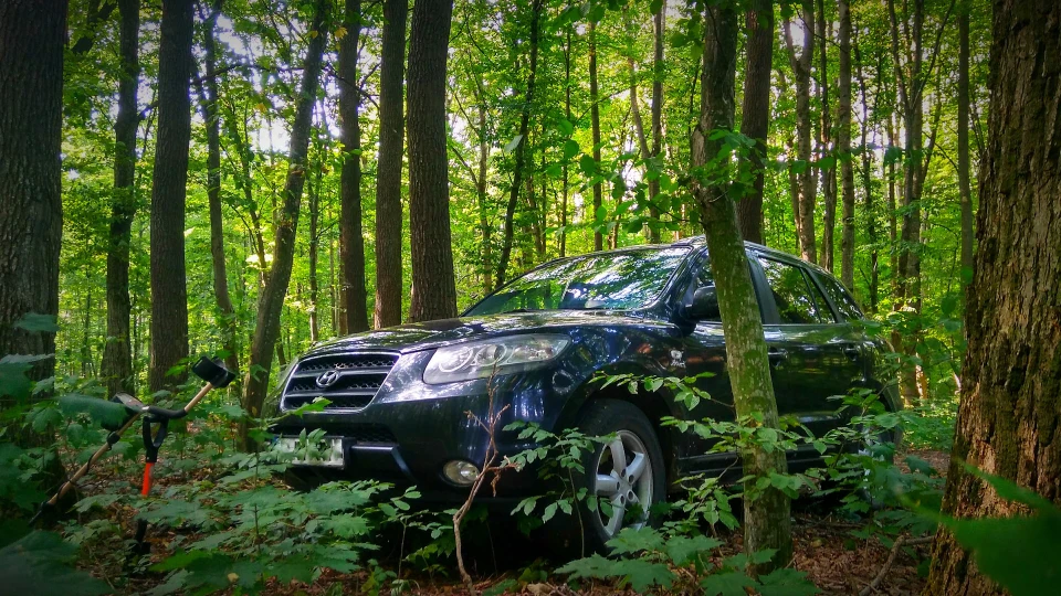 Hyundai Santa Fe Нахабний трудяга 4