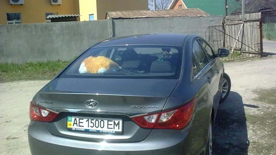Hyundai Sonata 2