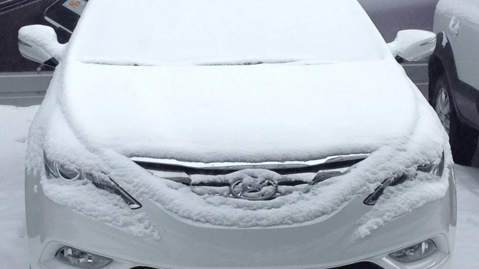 Hyundai Sonata Біла Сонатушка 2