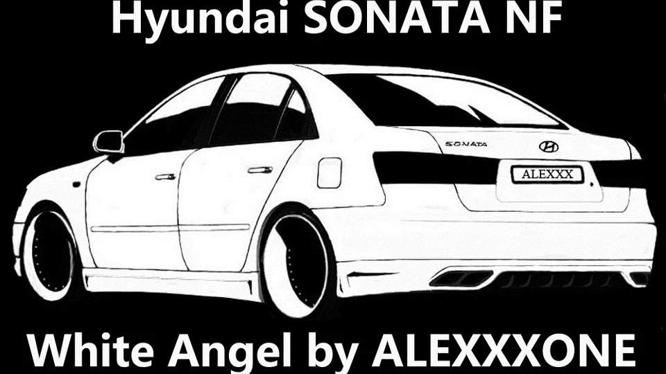 Hyundai Sonata Білка 3