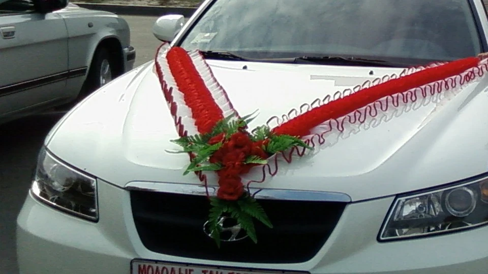 Hyundai Sonata Білий лебідь 3