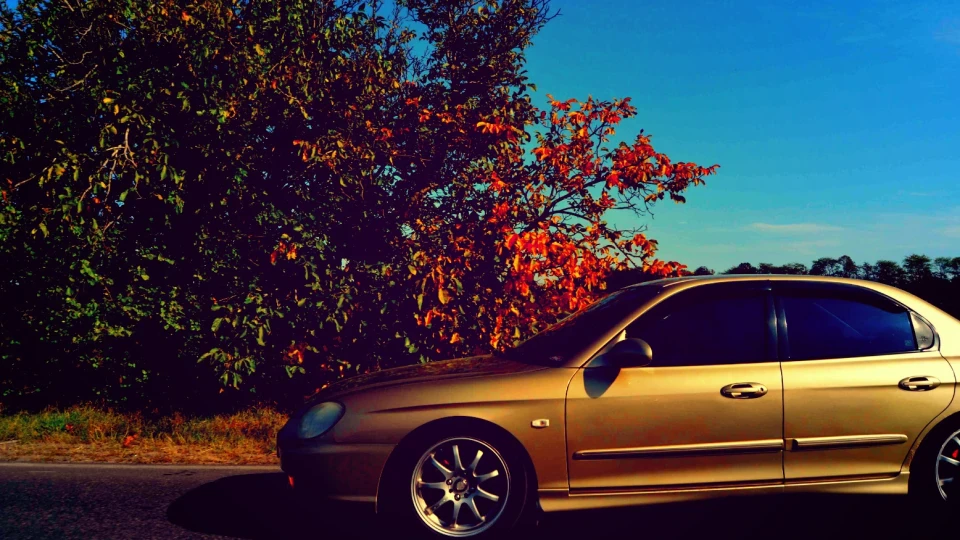 Hyundai Sonata 🇰🇷Gold WORKedition🇯🇵 3