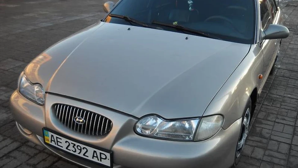 Hyundai Sonata шкіра пика 2