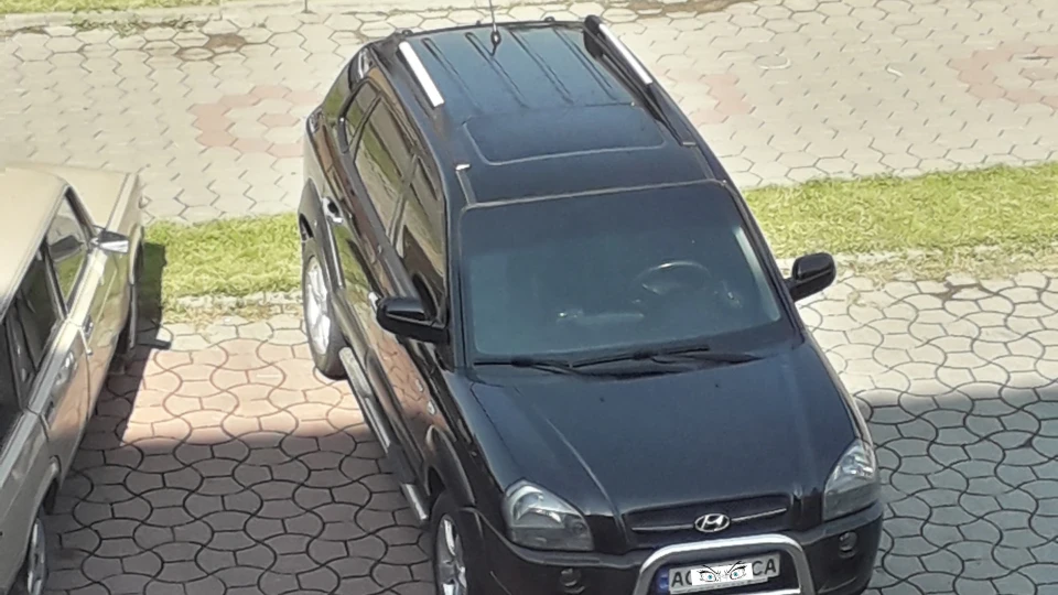 Hyundai Tucson Allactaga nigra 5