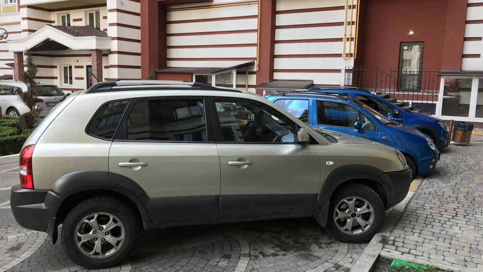 Hyundai Tucson Лісовик 2