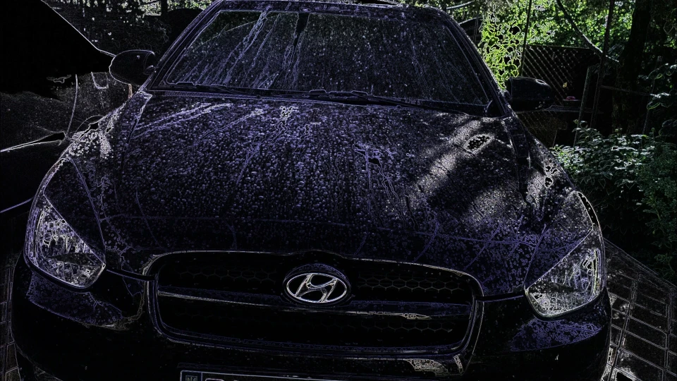 Hyundai Verna Жвавий Жук