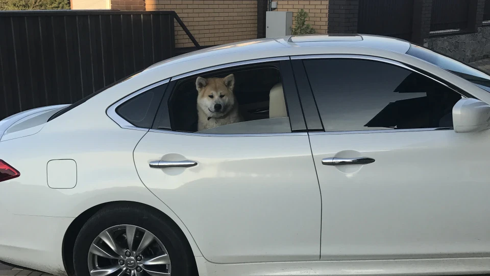Infiniti M 2
