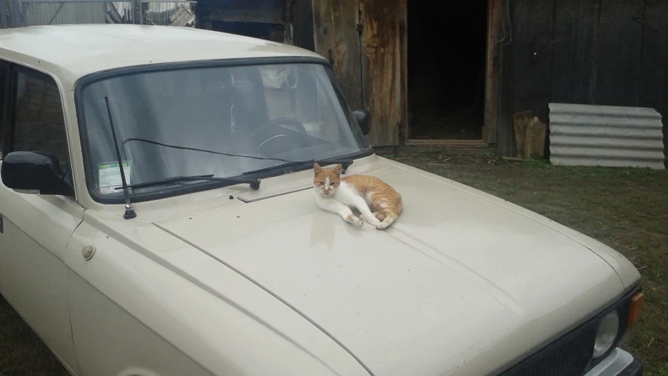ИЖ 21251 1,7 SL