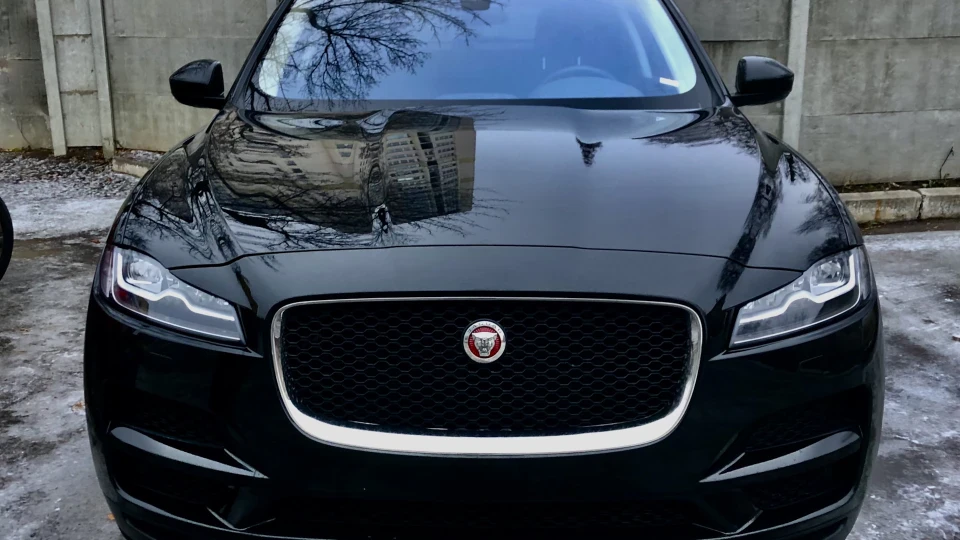 Jaguar F-Pace 🐆 Cartoon Cat 🐈‍⬛