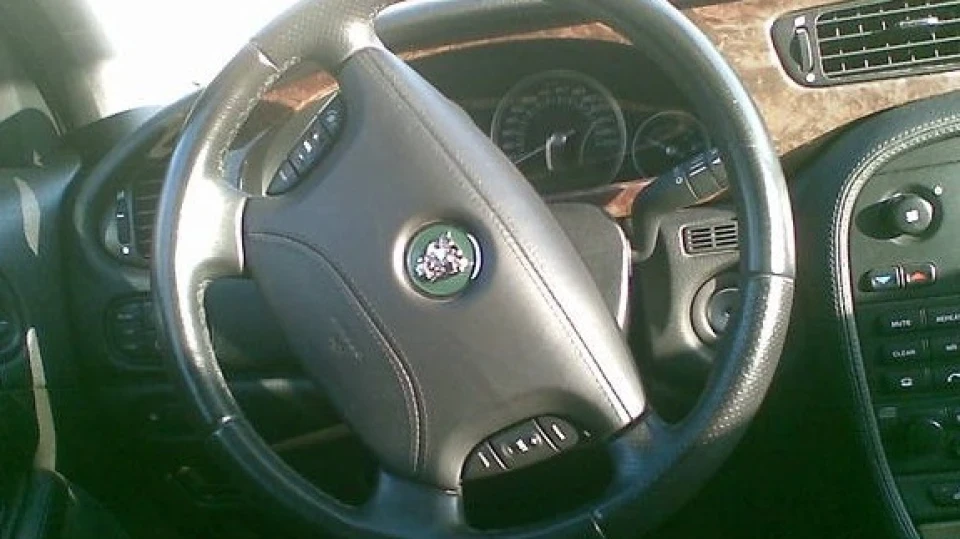Jaguar S-Type кішка 5