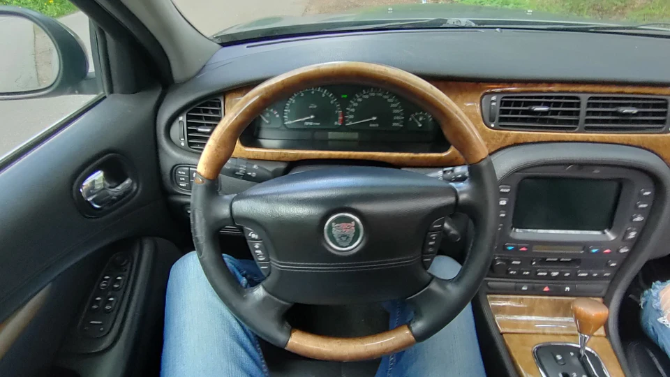 Jaguar S-Type Otorongo 2