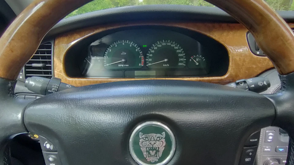 Jaguar S-Type Otorongo 3