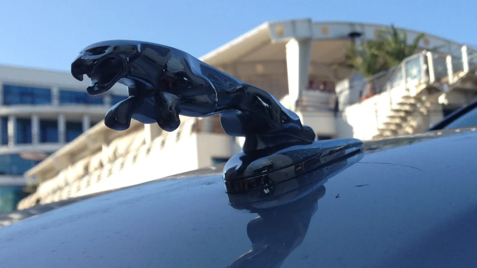 Jaguar X-Type 5