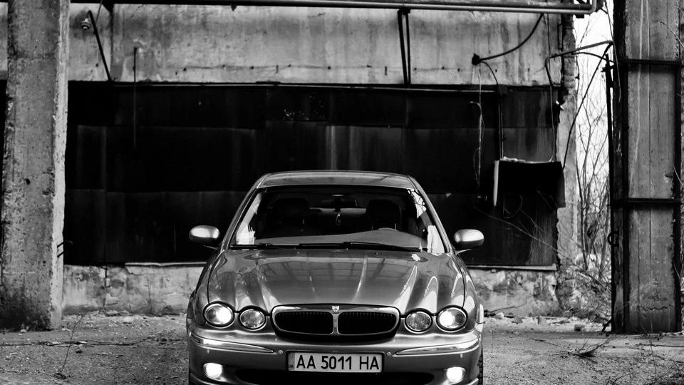 Jaguar X-Type Білка =) 3