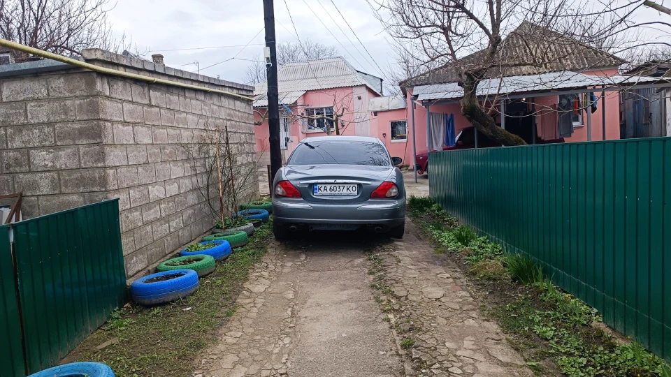 Jaguar X-Type Британський кіт 🐱 5