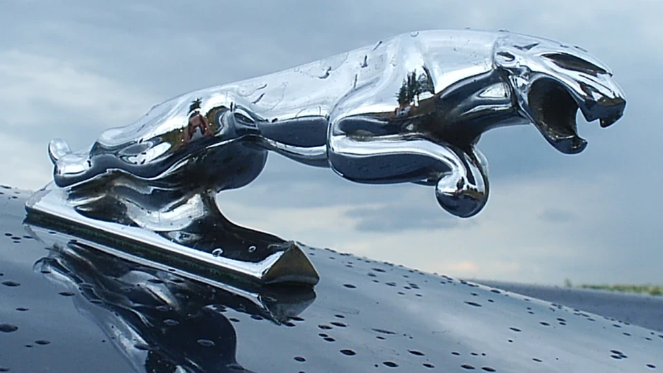 Jaguar XJ12 2