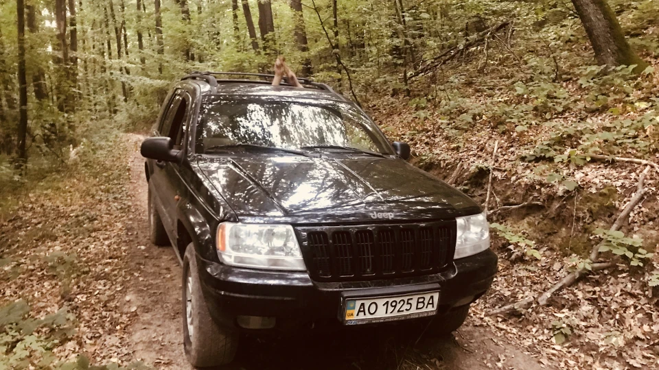 Jeep Grand Cherokee Чорний бандит у ЛІСУ 2