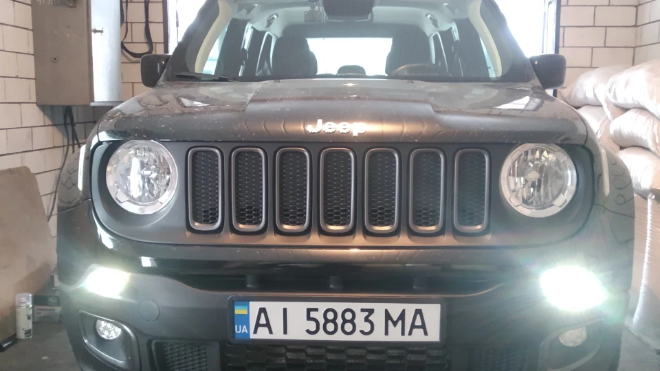 Jeep Renegade 2018 Latitude Пес
