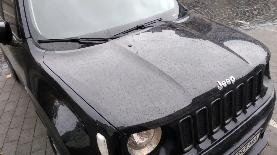 Jeep Renegade 2018 Latitude Пес 2