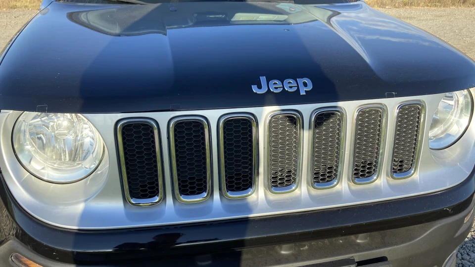 Jeep Renegade Джібстер 2
