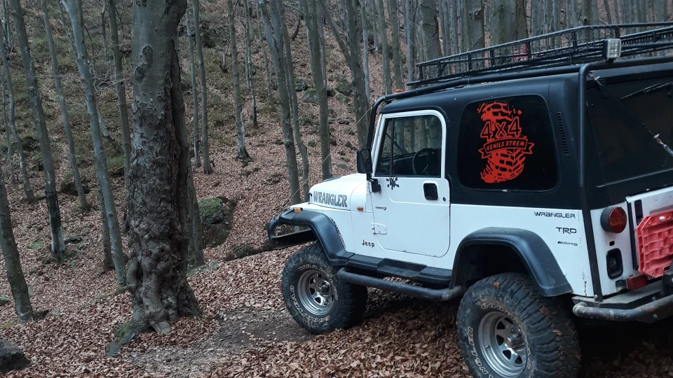 Jeep Wrangler 2.5 бенз Сніговий Барс 2