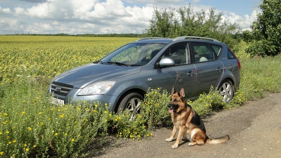 KIA Ceed SW 1,6L, EX, AT. 2
