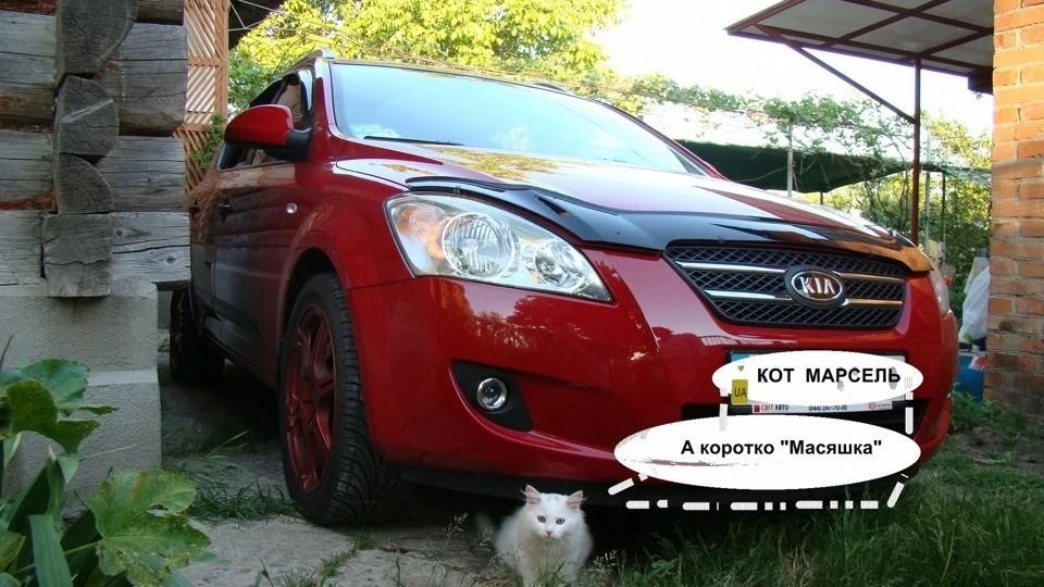 KIA Ceed SW CEED SW 1,6 АКПП +ЧІП 5