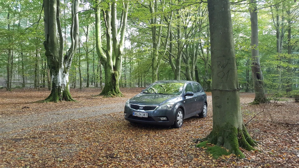 KIA Ceed 3