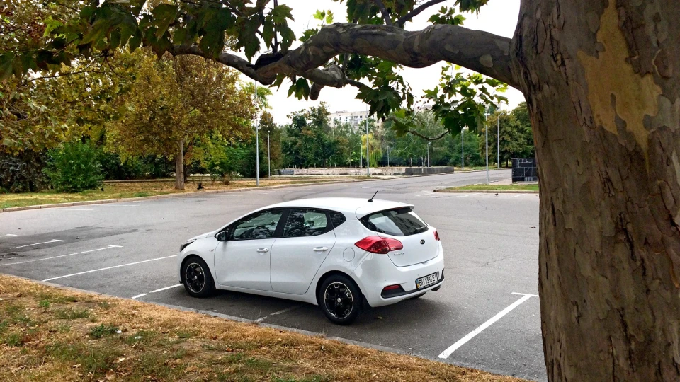KIA Ceed ⚪️ Bianca 5