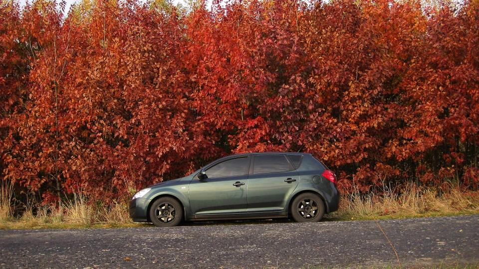 KIA Ceed GreenLine 2