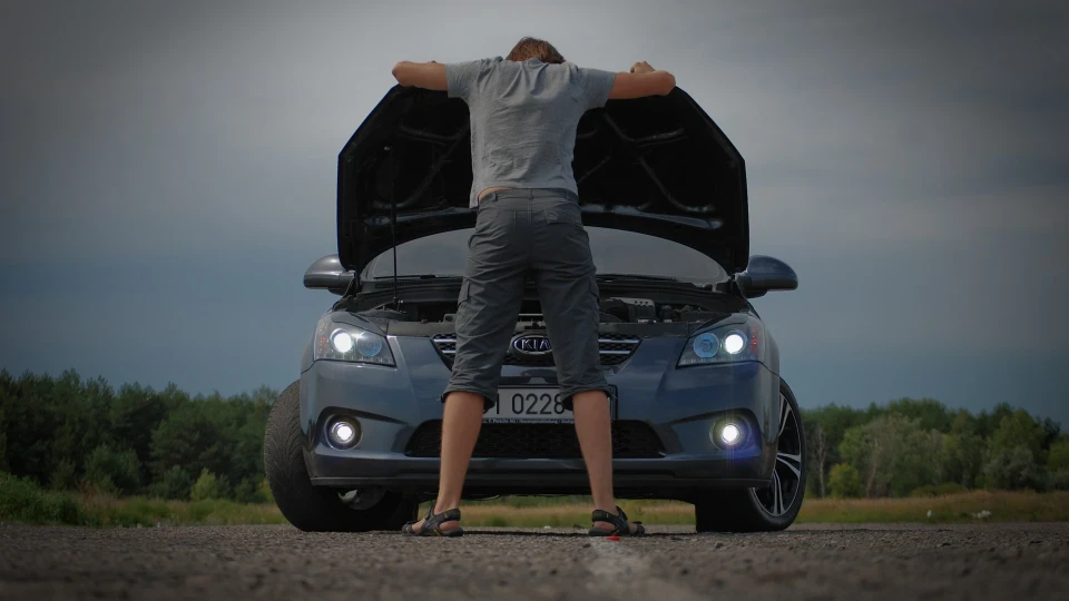 KIA Ceed Кiшка 3