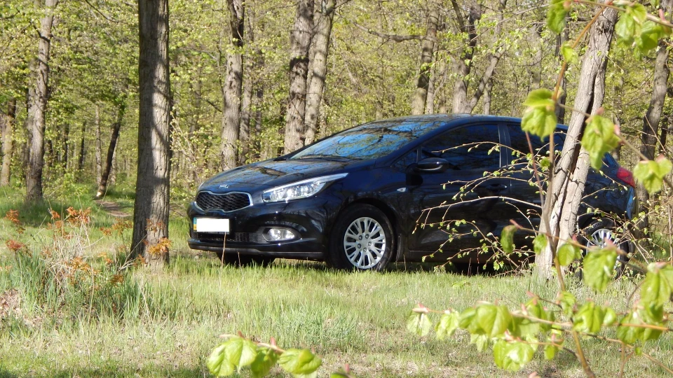 KIA Ceed Жужа
