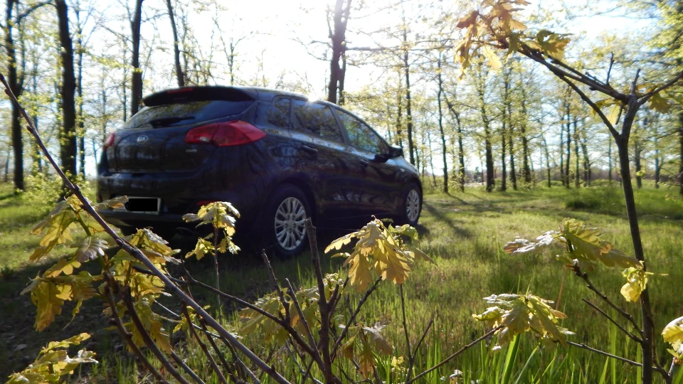 KIA Ceed Жужа 2