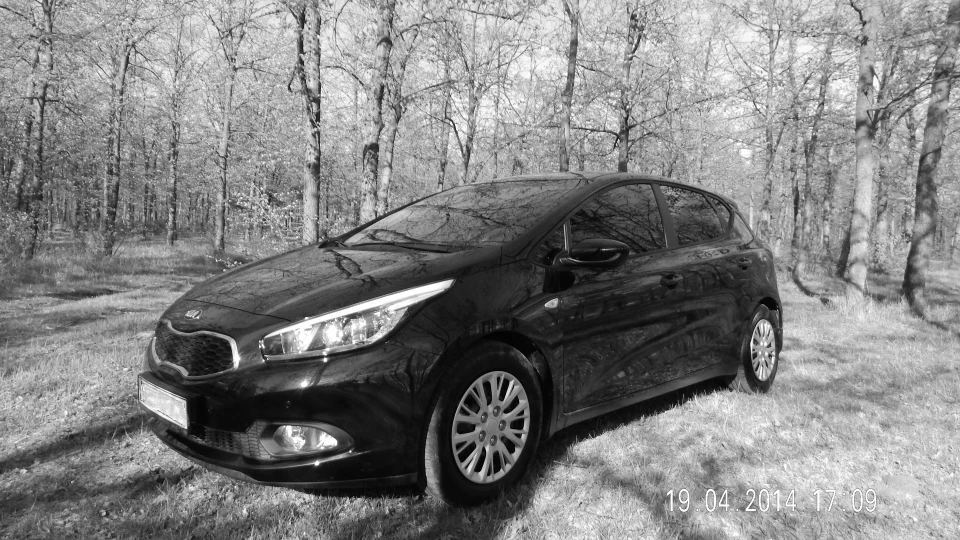 KIA Ceed Жужа 4