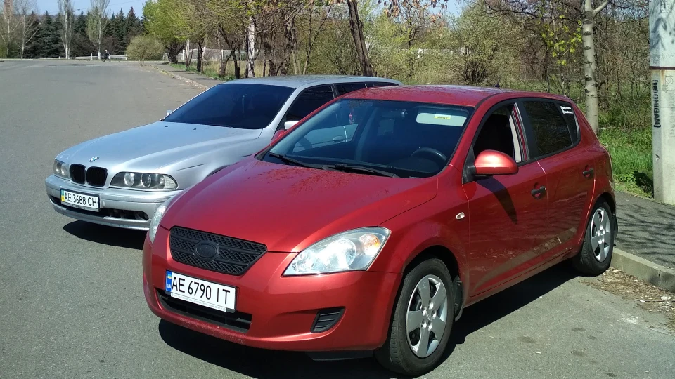 KIA Ceed Зверёк 2