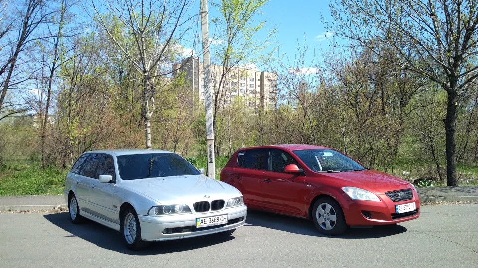 KIA Ceed Зверёк 3