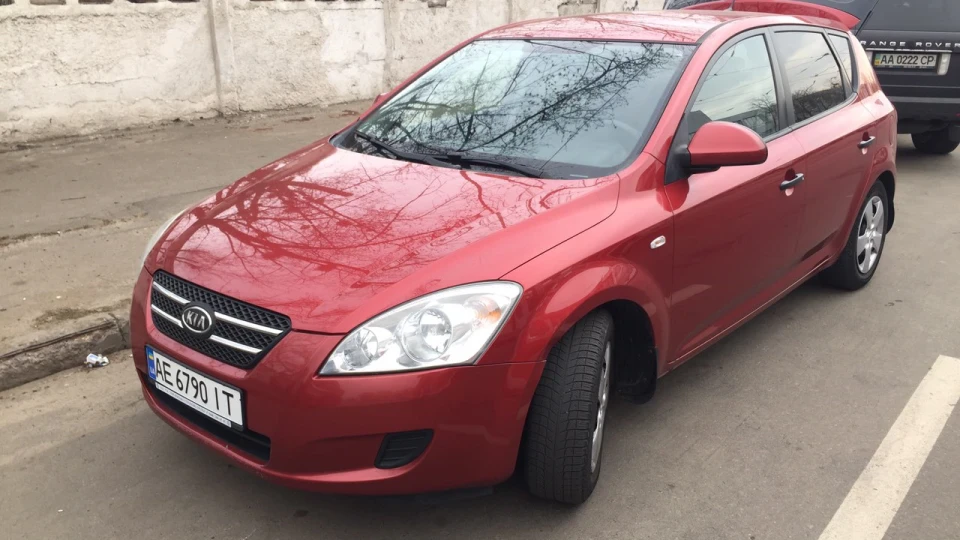KIA Ceed Зверёк 5