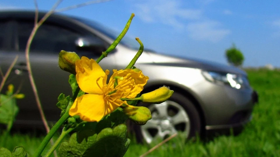 KIA Cerato Чортеня 2