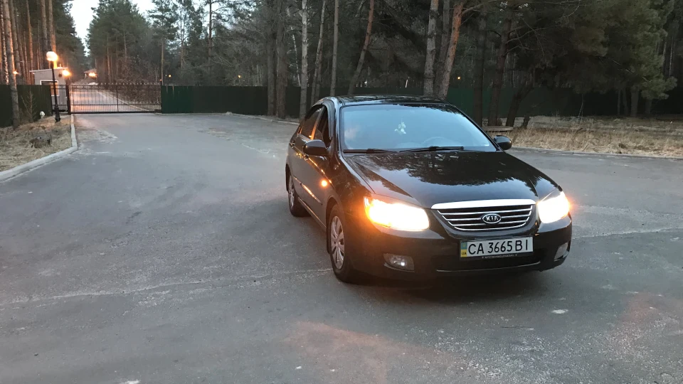 KIA Cerato Чорнушка 4