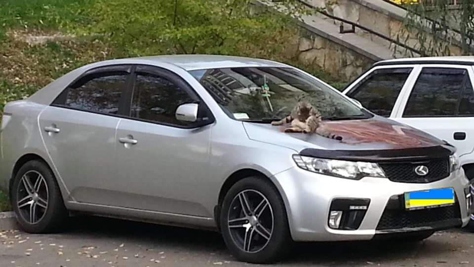 KIA Cerato Forte-Нутий Hybrid 4
