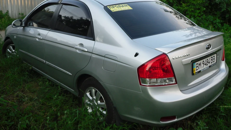 KIA Cerato Кішка 3