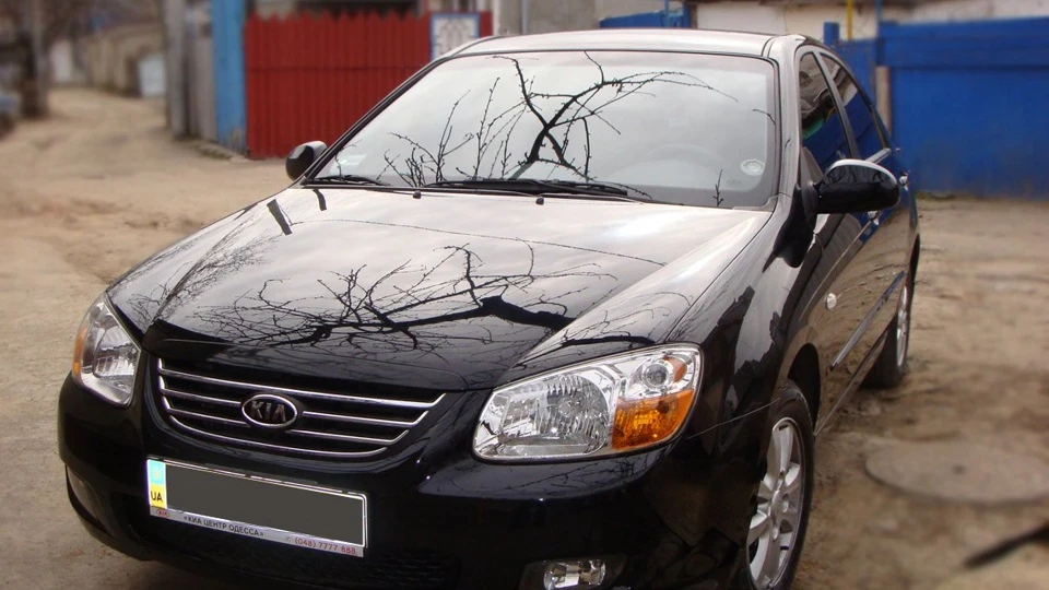 KIA Cerato ЛАСТІВКА