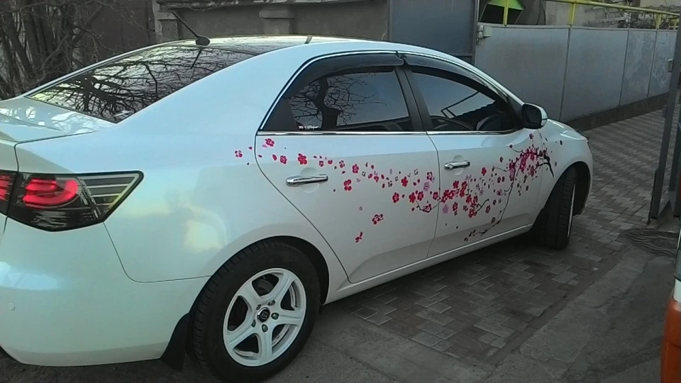 KIA Cerato перламутр 5