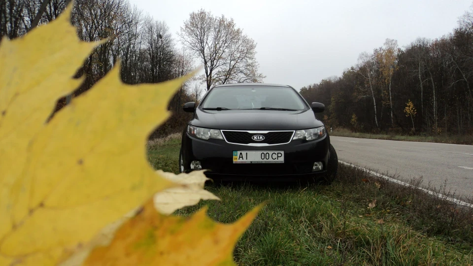 KIA Cerato Заюша 3