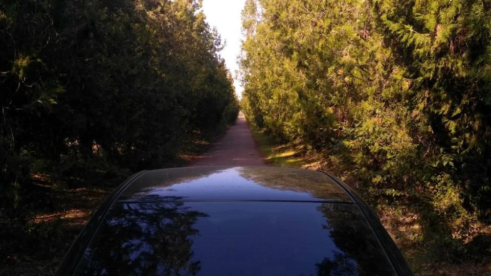 KIA Magentis Чорний, шкіряний